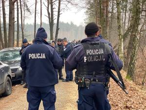 Zdjęcie kolorowe. Policjanci legitymują osoby w kompleksie leśnym. Widoczne radiowozy i samochody osobowe